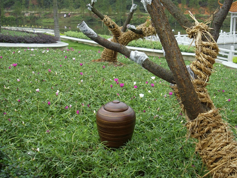 Global Buisness Information